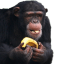 chunks home Discord Server Logo