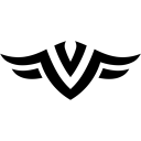 Team Vavory Discord Server Logo