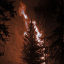 The Hunt Discord Server Logo