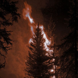 The Hunt Discord Server Logo