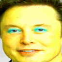 Dashblox Discord Server Logo