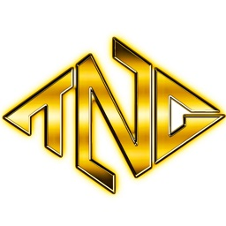 topnotch world Discord Server Logo