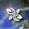 Tropical Italia🌴 Discord Server Logo