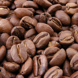 Land of Coffee Addicts Discord Server Logo