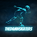 TheDamnSkaters Discord Server Logo