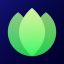 Lotus Arts Discord Server Logo