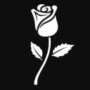Rosa Special Studio Discord Server Logo