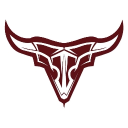 Tancarae Collective Discord Server Logo