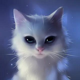 😼 Discord Server Logo