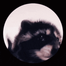 We Are Bored Discord Server Logo