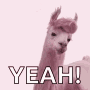 Llama Yeah Studio Discord Server Logo