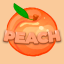 Peach Wood Discord Server Logo