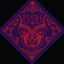 Phish Anyone Discord Server Logo