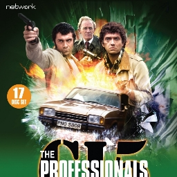 The Professionals Community Discord Server Logo