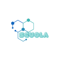 Scuola Olimpiade Discord Server Logo