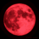 Red Moon Discord Server Logo