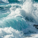 ✧･ﾟ🌊 Discord Server Logo