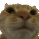 Cat Hub Discord Server Logo