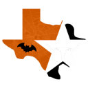 Texas State Roleplay Discord Server Logo