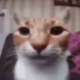 the randoms little shits Discord Server Logo