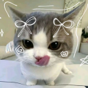 Potato Cats Discord Server Logo