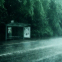 ➶-˚ ༘✶rainy pond (archived) Discord Server Logo