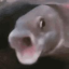 Games and stuff Discord Server Logo
