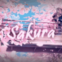 𝙎𝙖𝙠𝙪𝙧𝙖𝘾𝙇𝙉𝙓🌺 Discord Server Logo