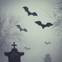 Haunted Hearts Discord Server Logo