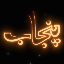 Desi Punjab (Pakistani Discord Server Logo