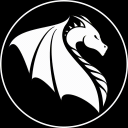 Dragontwin Discord Server Logo