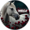 𝑀𝒾𝒹𝓃𝒾𝑔𝒽𝓉 𝑅𝑜𝓈𝑒𝓈 𝐸𝓆𝓊𝒾𝓃𝑒 𝒜𝒸𝒶𝒹𝑒𝓂𝓎 (𝑀𝑅𝐸𝒜) Discord Server Logo