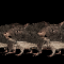 Spinning Rats Discord Server Logo