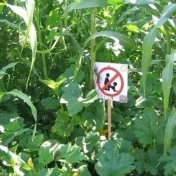 not slept since 1969 Discord Server Logo