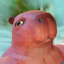 Animal Company Discord Server Logo
