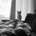 VDT Discord Server Logo