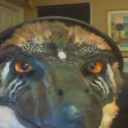 Dinosauria Discord Server Logo