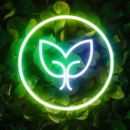 Skincare Discord Server Logo