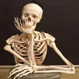 Tropa do LucazXD Discord Server Logo