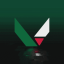 VALORANT DZ Discord Server Logo