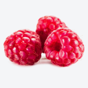 The Raspberry Garden Discord Server Logo