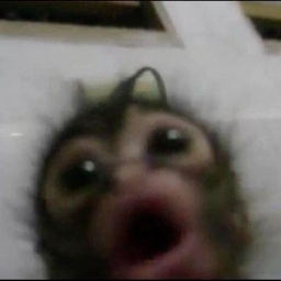 Discord RP Group Discord Server Logo