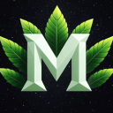𝗠𝗢𝗥𝗚𝗖𝗢𝗥𝗗 [] Discord Server Logo