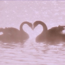 ✮ Love is in the air ✮ Discord Server Logo