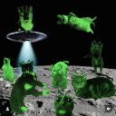Sprout's Haven Discord Server Logo