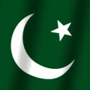 Pakistan Official Discord Server Logo