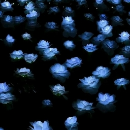 BitterSweet 🦋 Discord Server Logo