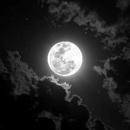 Lunar Discord Server Logo