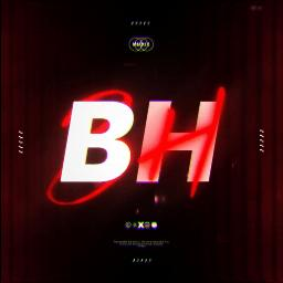 『BH』BloodHound 🩸 Discord Server Logo