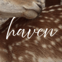 ୨ৎ 𝘩𝑎𝑣𝑒𝑛 Discord Server Logo